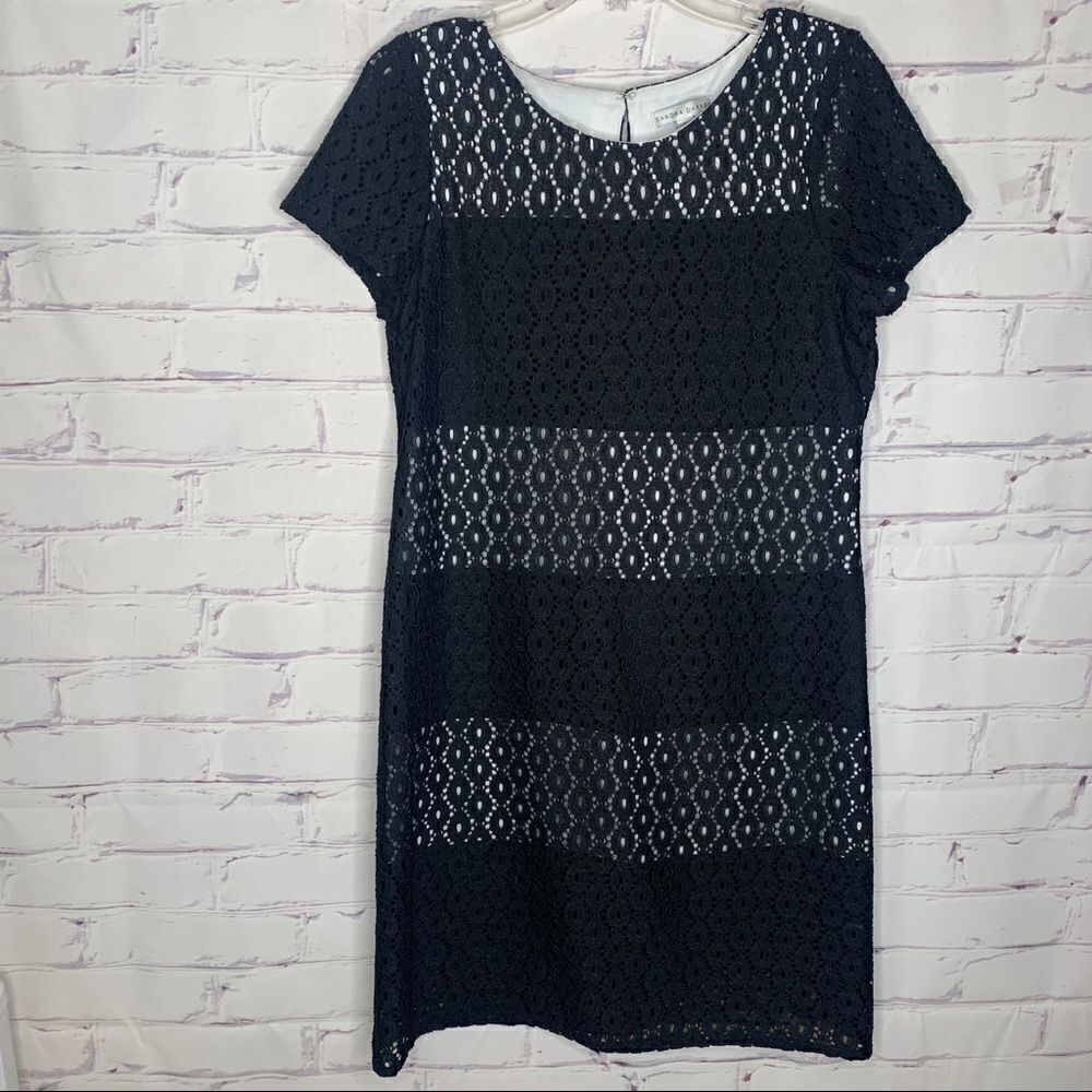 Sandra ‎ Darren Size 8 Dress